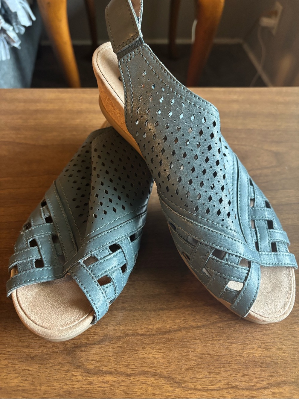 Earth brand "Pisa Galli" wedge sandals